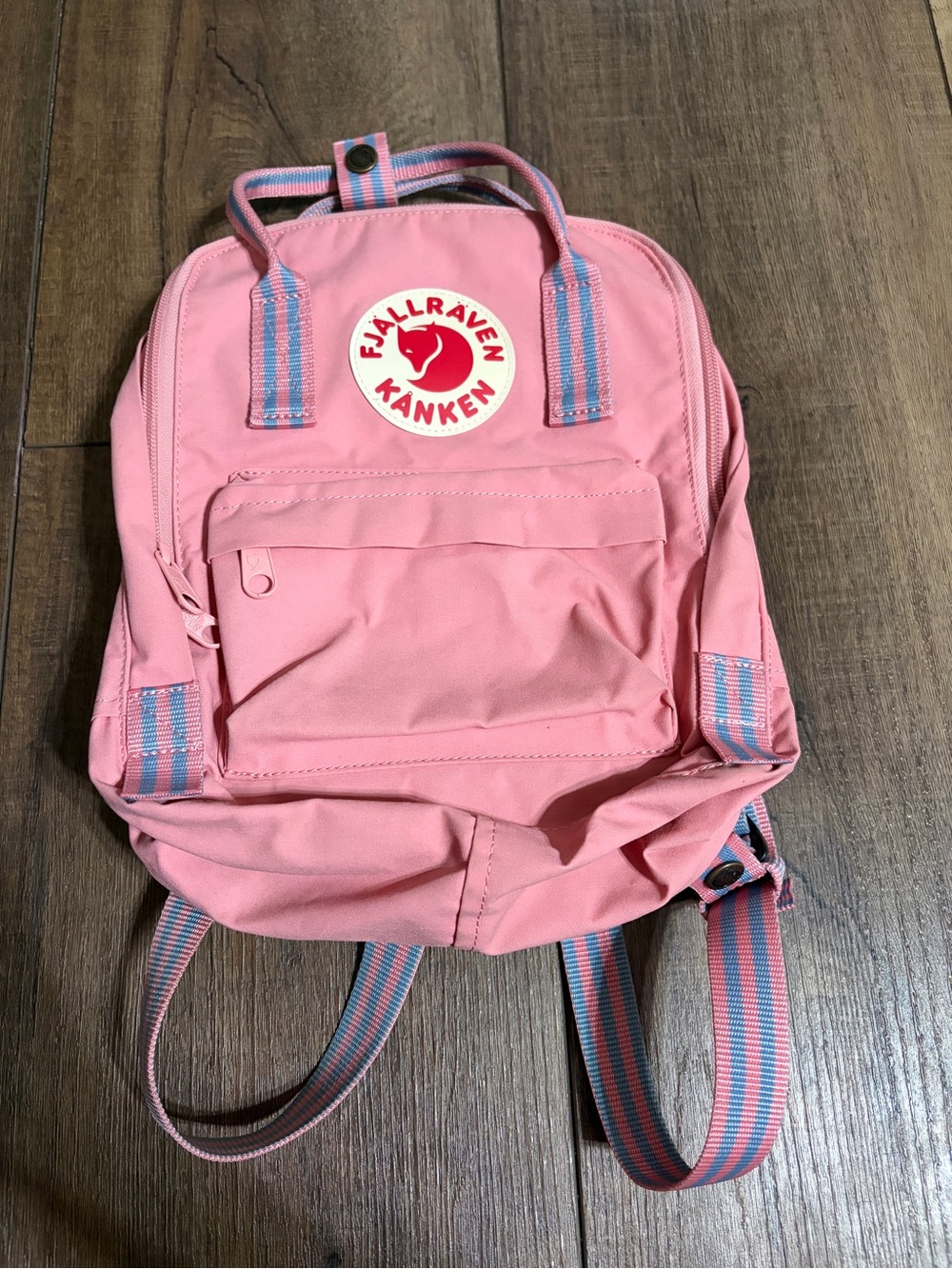 Fjällräven Kånken Mini Backpack in Pink / Air Blue Webbing